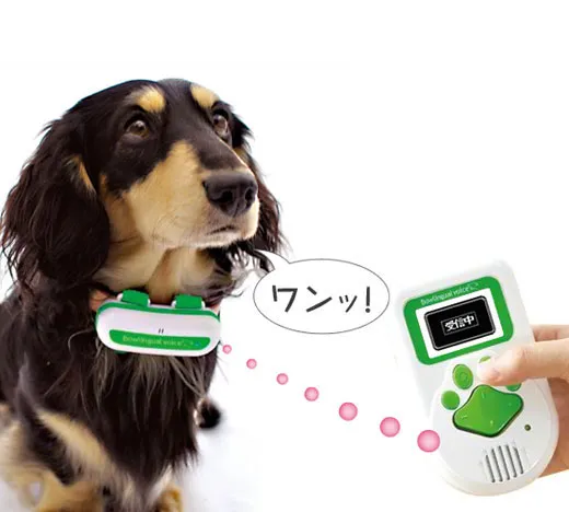 Decipher Your Pet's Sounds for Unique Interactions